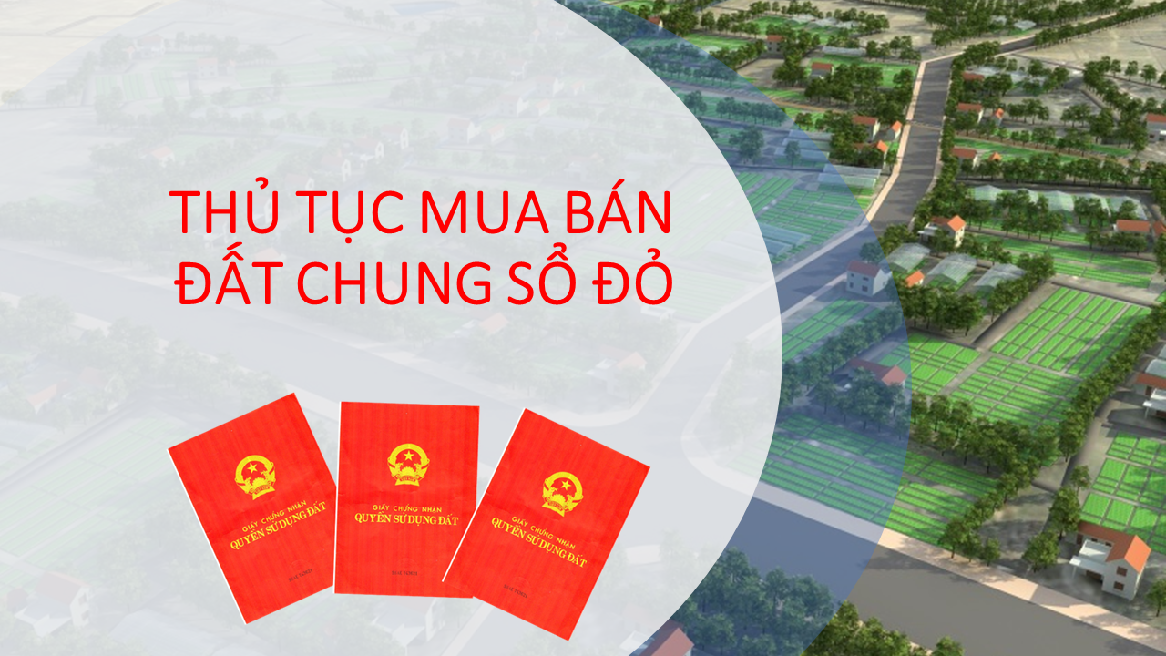 Hợp đồng mua bán đất chung sổ đỏ